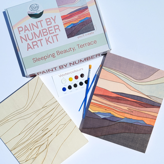 Kit d'art peinture par numéros La Belle au bois dormant - Vente en gros